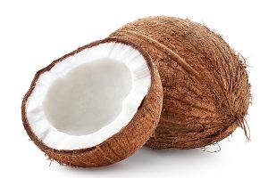 shutterstock_2431689889